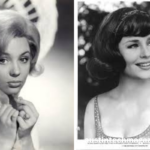 joan staley